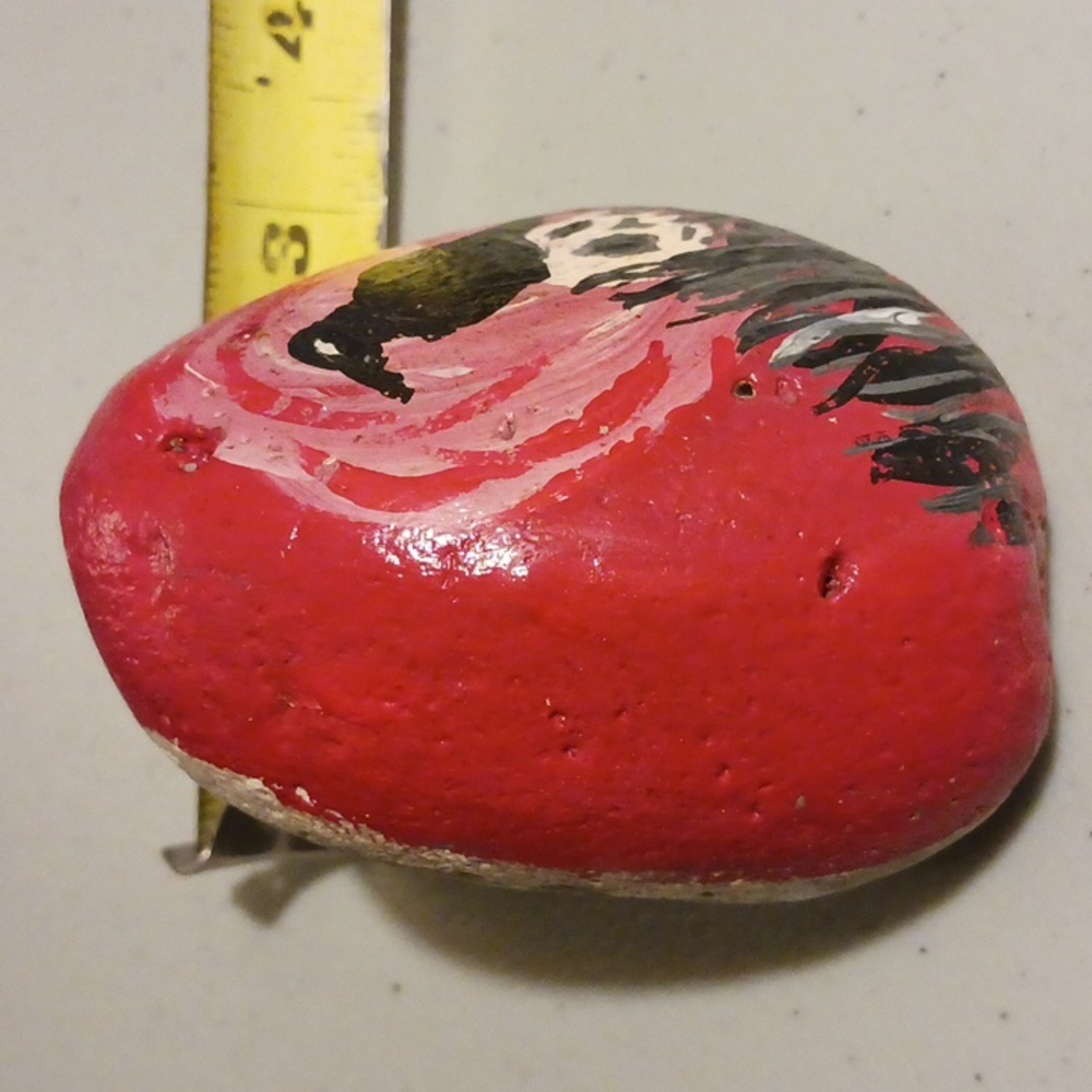 Crow Skull Painted Art Rock Stone Paper Weight #eshopchicago RARE Original - Picture 5 of 6